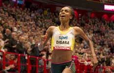 New WR for Genzebe Dibaba